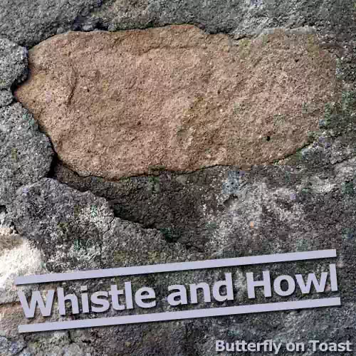 Whistle and Howl